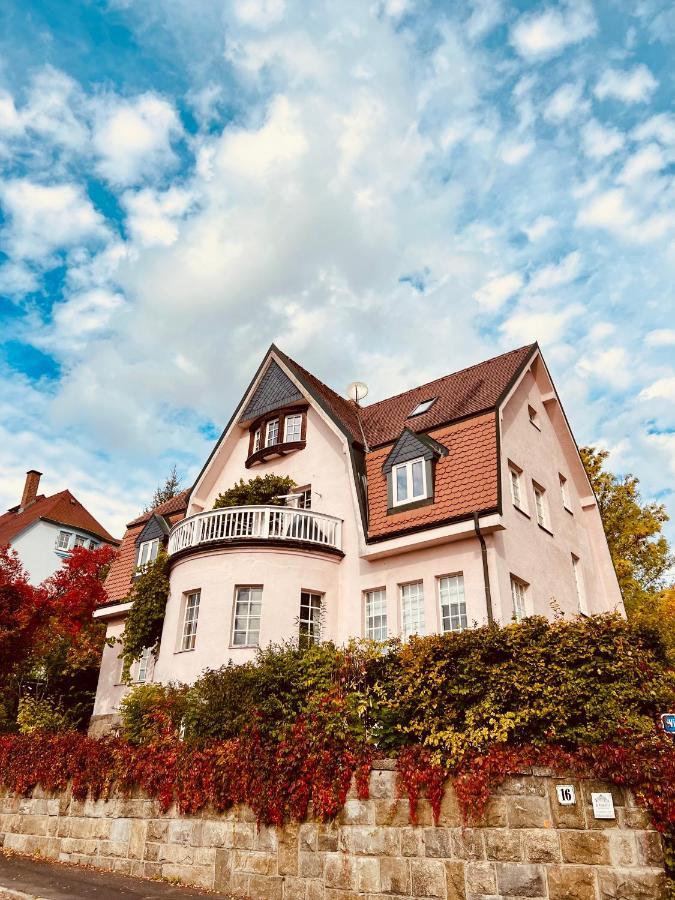 Paterre Wohnung In Der Rosa Villa Selb Exterior photo